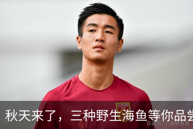 秋天来了，三种野生海鱼等你品尝，营养丰富又经济实惠